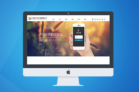 企業(yè)網站建設的重要性！