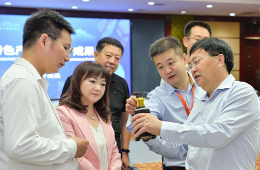 第三屆河北國際工業(yè)設(shè)計(jì)周定州分會(huì)場(chǎng)啟幕